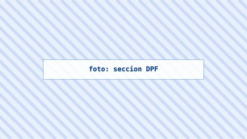 Esquema del funcionamiento interno de un filtro de partículas DPF